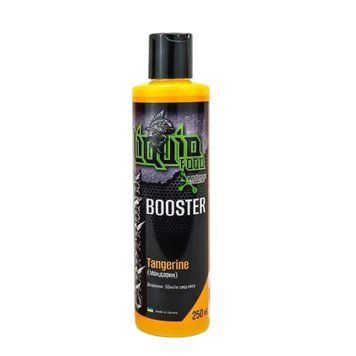 Бустер Мандарин 250ml CTBOOTNG фото
